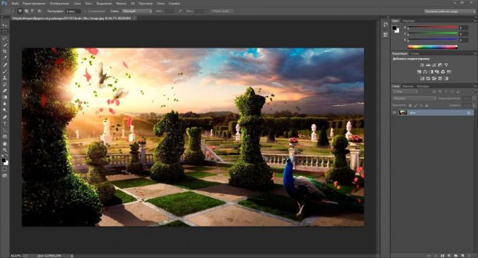 Płatna program do rysowania na komputerze: Adobe Photoshop