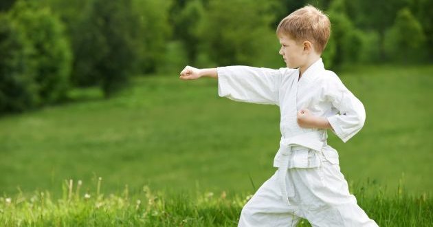 klubów sportowych: Karate