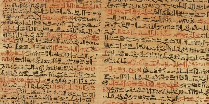 Fragmenty papirusu Edwina Smitha