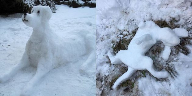 pies śnieg