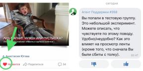 Portalu „VKontakte” ukrywa husky. Podczas tego eksperymentu