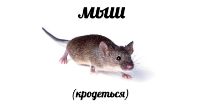 Najczęściej szukane w roku 2018: Mouse (krodotsya)