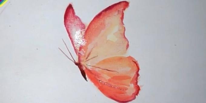 Jak narysować realistyczne kolory motyli