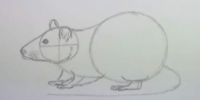 Jak narysować mysz: narysuj łapy