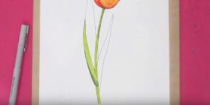 15 sposobów na narysowanie pięknych tulipanów