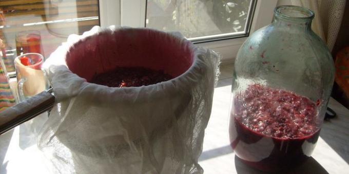 Jak zrobić wino z czerwonych porzeczek w domu. Wszystkie owoce mają pozostać w Marl
