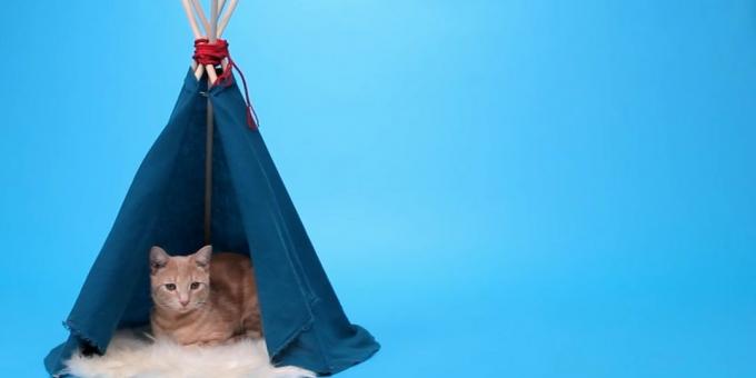 Jak sprawić, by dom-namiot dla kota szyn i tkaniny z rąk