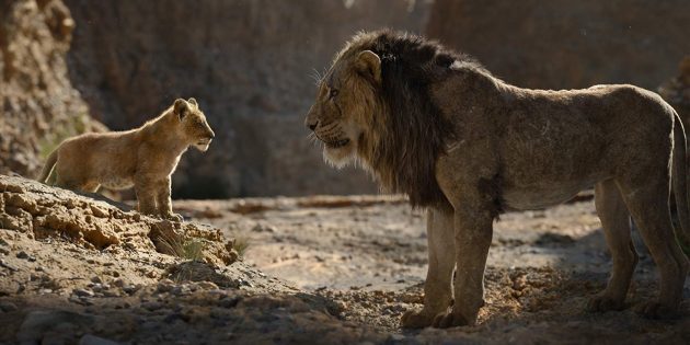 "The Lion King": Simba i Scar