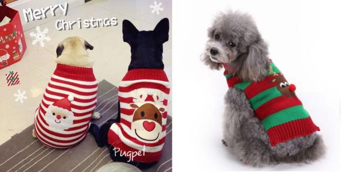 kostiumy świąteczne dla psów: Swetry