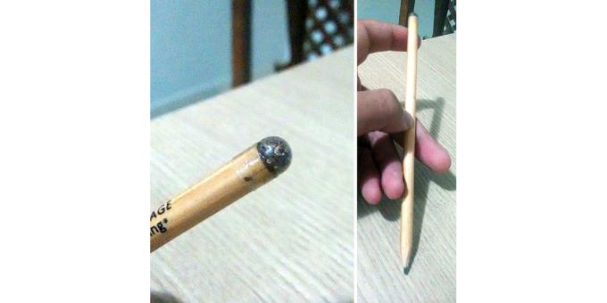Ołówek z nasion