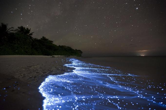 Bioluminescent Plaża - Vaadhoo, Malediwy Najlepsze plaże