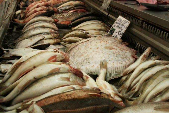Ryby różnorodność w „Privoz”