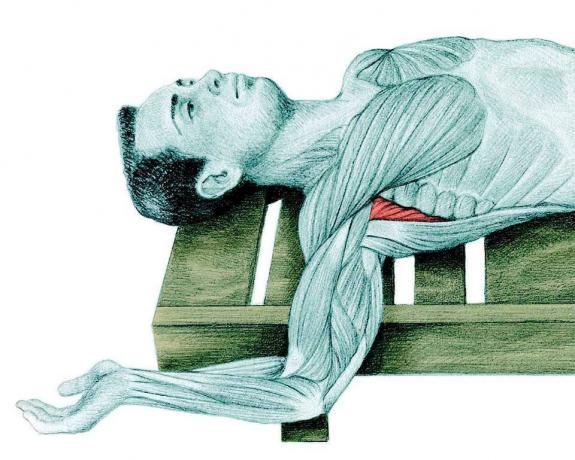 Anatomia rozciąganie: rozciągania ramię