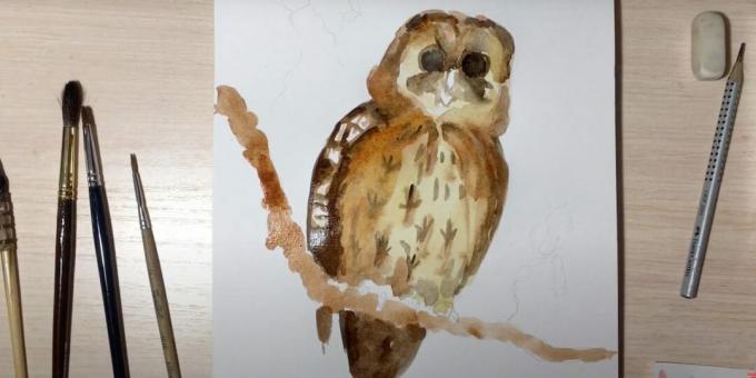 Jak narysować sowę: pomaluj gałąź i rozjaśnij ptaka