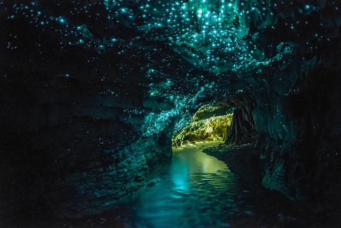 Jaskinia ze świetlika Waitomo Glowworm 