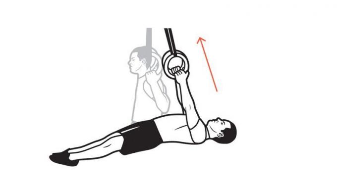 Tim Ferriss: body lifting