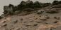 Łazik Perseverance zapewnia najbardziej szczegółową panoramę Marsa w historii