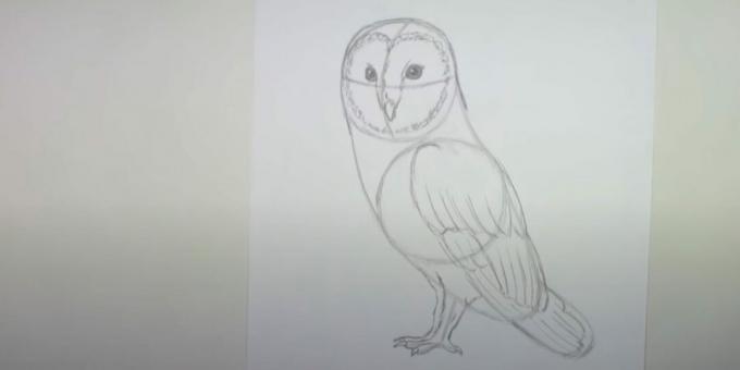 Jak narysować sowę: narysuj drugą łapę i zarysuj skrzydło