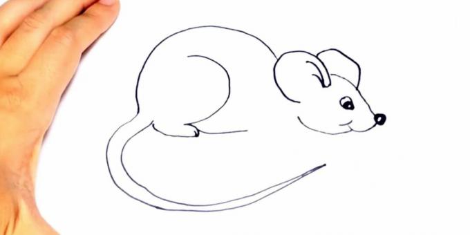 Jak narysować szczura: narysuj łapę i brzuch