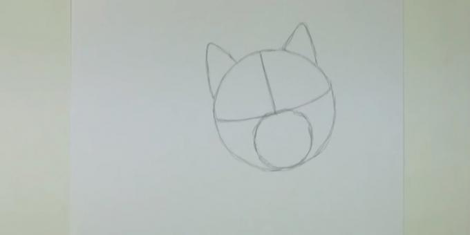Narysować okrąg i zaznaczyć mniejsze uszy