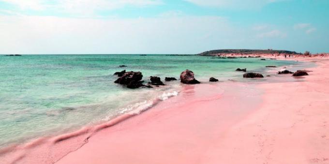 Zadziwiająco piękne miejsce: różowy plaża w Sardynii we Włoszech