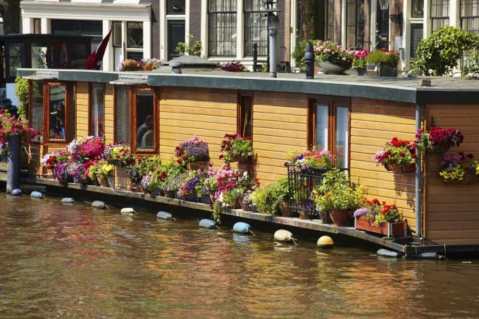 Amsterdam. Barka mieszka