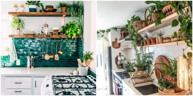 Wnętrze kuchni: pokój Ekologiczny