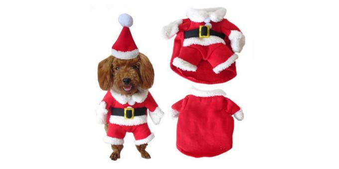 Świąteczny kostium dla psa