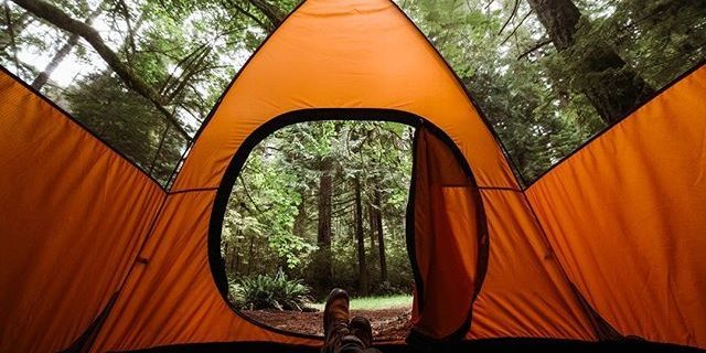 Duży namiot: Widok wewnątrz
