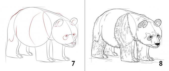 Jak narysować pandę