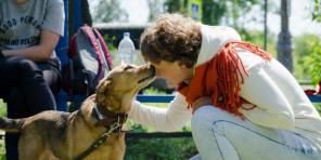 „Wtykanie szczenięcia nosa w kałuże to najbardziej szkodliwa rada”: wywiady z ekspertami od zachowania psów