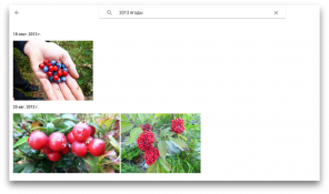 10 powodów, aby wybrać Zdjęcia Google do przechowywania zdjęć