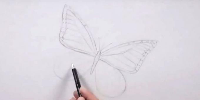 Rysować okręgi wokół krawędzi na prawym skrzydle i lewego skrzydła Wzór znaku