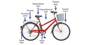 Jak wybrać najlepszy rower dla miasta