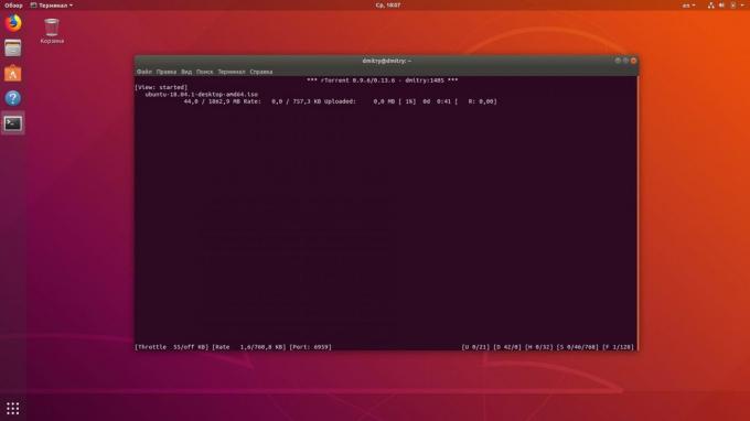 Terminal Linux pozwala na pobranie torrentów