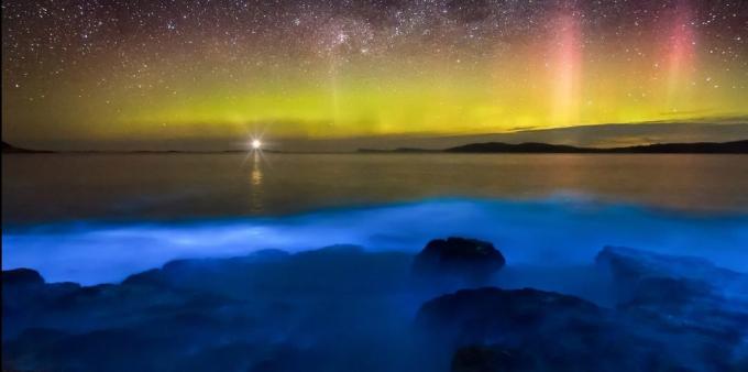 Zadziwiająco piękne miejsce: Wody bioluminescencyjnymi u wybrzeży Tasmanii