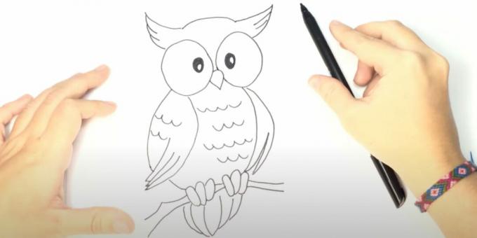 Jak narysować sowę: narysuj pazury, gałąź i ogon