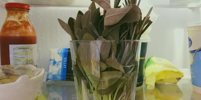 Jak przechowywać zioła: wycięte z końców belki i umieścić w szklance wody