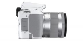 Canon EOS 250D wprowadził - bardzo kompaktowa i lekka lustrzanka