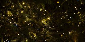 6 świąteczne tradycje, które przychodzą do nas z pogaństwa