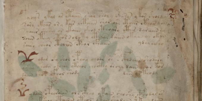 Tajemnice historii: rękopis Voynicha