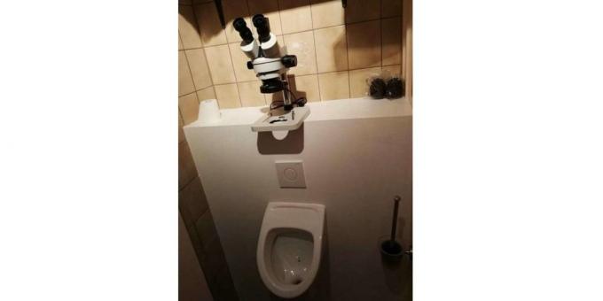 Mikroskop w toalecie