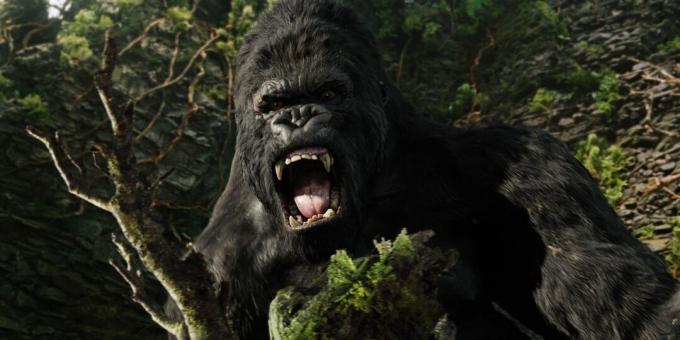 Kadr z filmu o dżungli "King Kong"