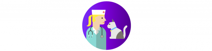 jak dbać o kota: wizytę do weterynarza