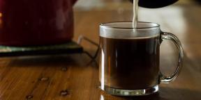 5 napoje, które mogą zastąpić kawę