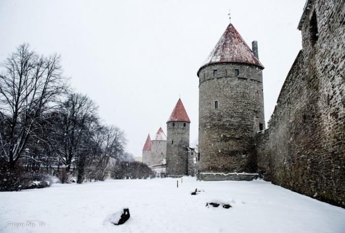 Tallinn ściana