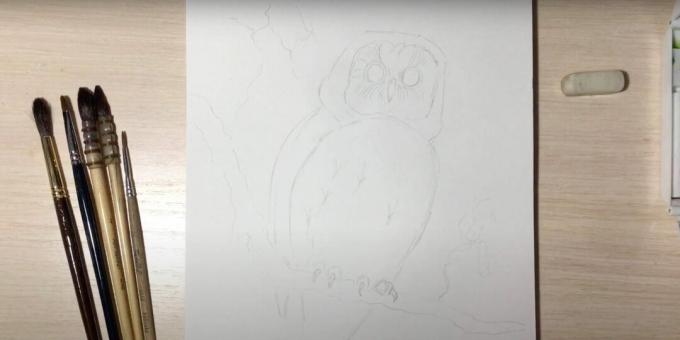 Jak narysować sowę: przedstaw pazury, oczy i gałąź