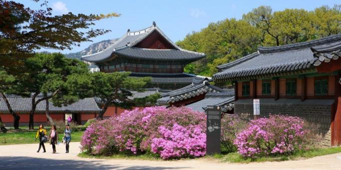 Atrakcje w Korei Południowej