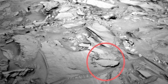 Zdjęcia z miejsca: a skamieniałe ryby na Marsie