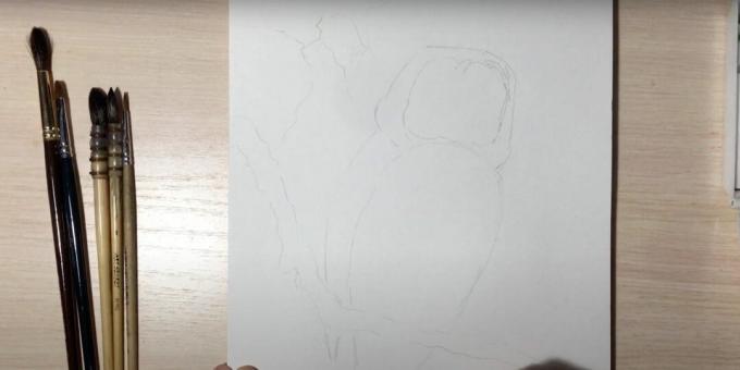 Jak narysować sowę: zarysuj gałąź oraz ciało sowy